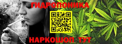 гидра Малоярославец