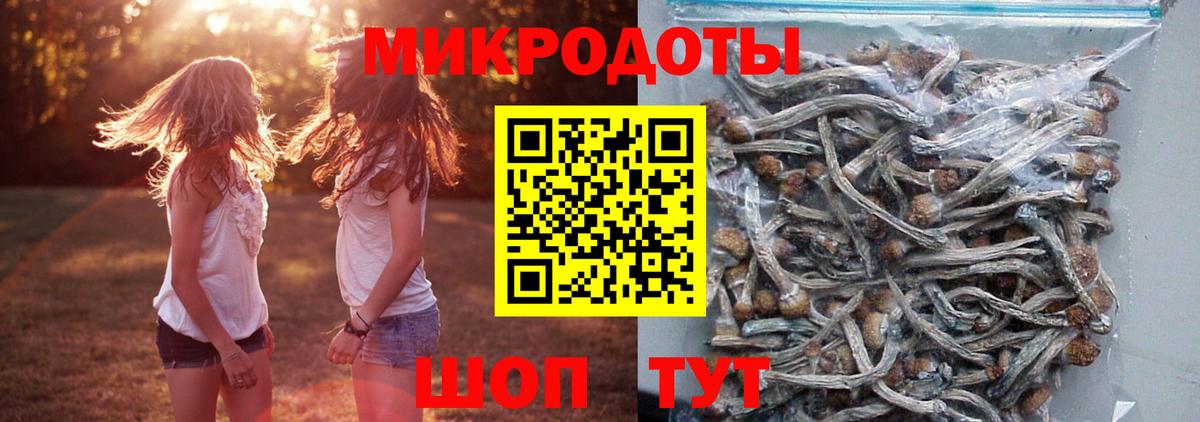 Псилоцибиновые грибы GOLDEN TEACHER Таганрог