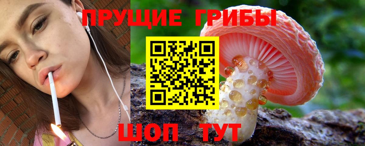 Таганрог  Галлюциногенные грибы мицелий  Вход с VPN  Галлюциногенные грибы MAGIC MUSHROOMS 